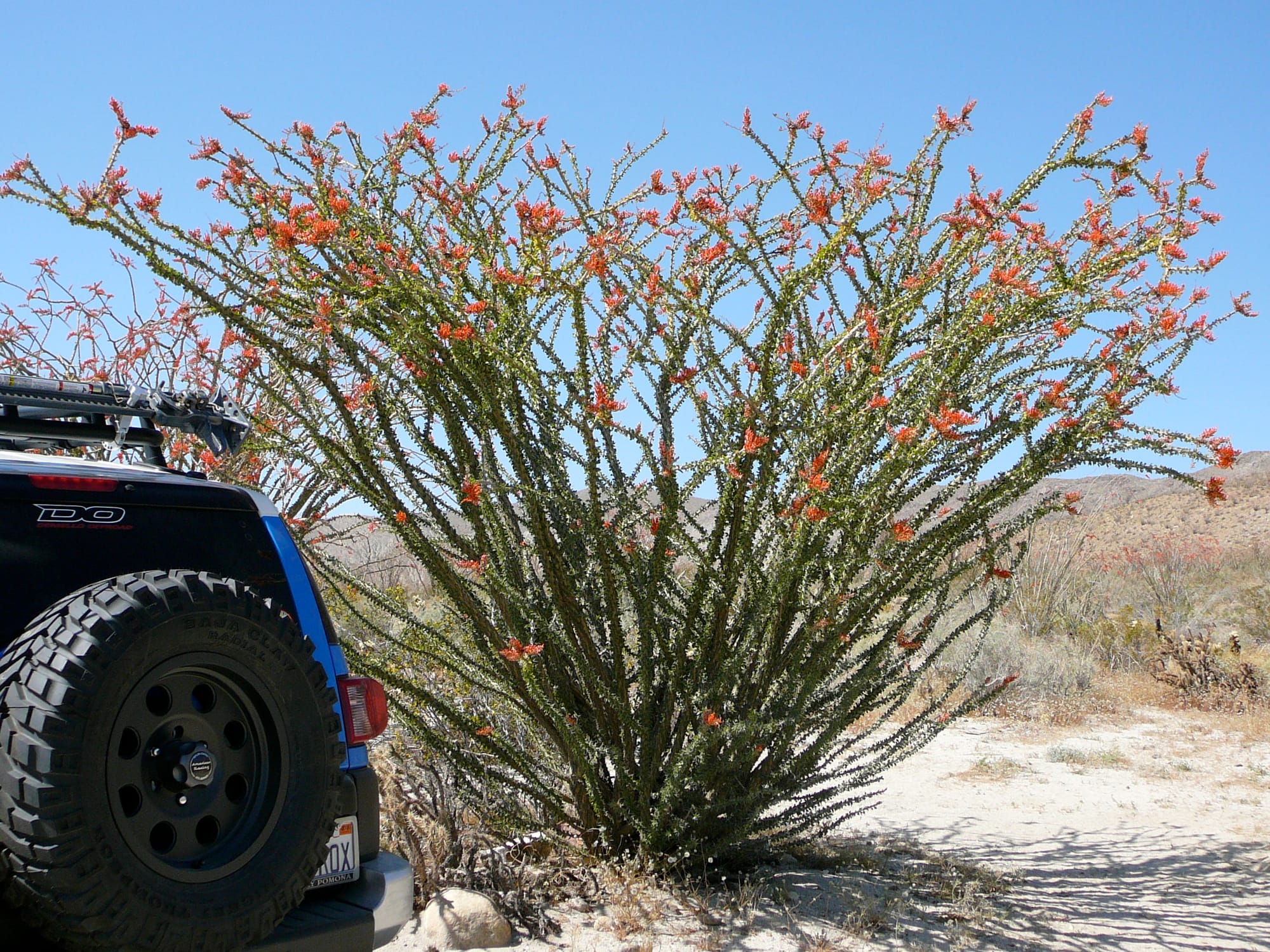 FJ Retrospective (part 7)